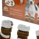 Pets-Shoes-Boxes.jpg